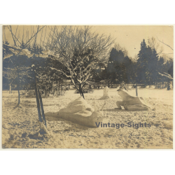 Snow Sculptures: Snail & Frog (Vintage Photo ~ 1910s/1920s)