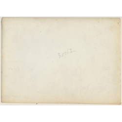 Paris: Exposition Coloniale 1931 Pavillon De La Chasse Illuminé (Rare Vintage Photo)