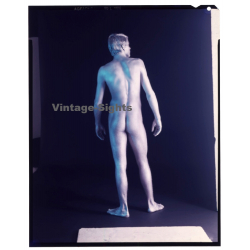 Rear View: Muscular Nude Man Painted Silver*1 / Gay INT (Vintage Diapositive 1970s/1980s)