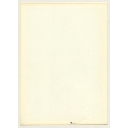 Series Of West German Fashion Photos 15: 1960s/1970s (Vintage Advertisement Photo)