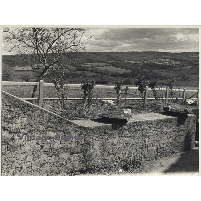 Jerri Bram (1942): View Over Flat Landscape / Trees - Wall (Large Vintage Photo ~1970s)