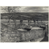 Jerri Bram (1942): View Over Flat Landscape / Trees - Wall (Large Vintage Photo ~1970s)