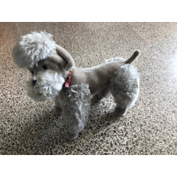 Vintage Steiff Snobby Dog / Schnauzer With Button & Tag 5335.05  ~1950s/1960s