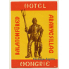 Aranygsillag - Balatonfüred / Hungary: Hotel Hongrie (Vintage Luggage Label)