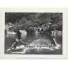 Nude Couple Spray Each Other With Water / Nudism (Vintage Photo ~1960s)