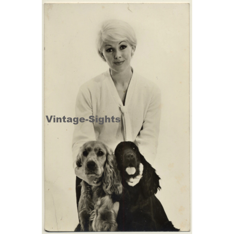 Blonde Fashion Model With 2 Cocker Spaniels (Vintage RPPC 1960s) Blonde Fashion Model With 2 Cocker Spaniels (Vintage RPPC 1960s)