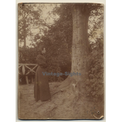 Lady In Victorian Dress Looks At Bark Scratches On Tree (Vintage Photo 1896)