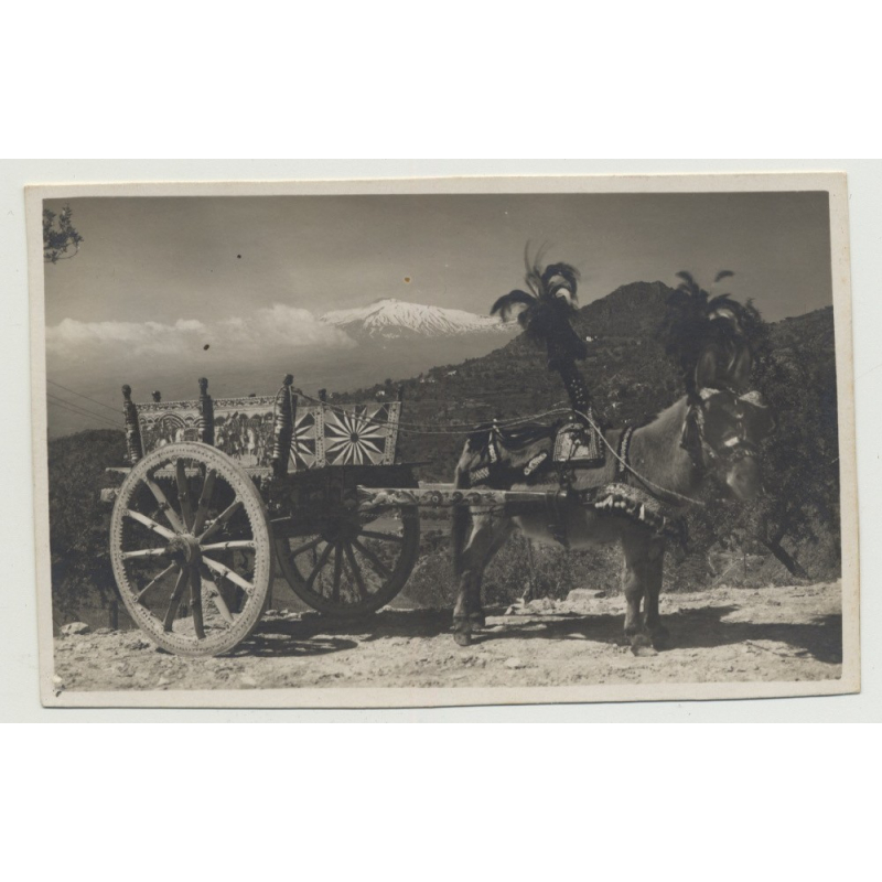 Taormina - Sicily: Donkey With Cart (Vintage Photo PC B/W) Taormina - Sicily: Donkey With Cart (Vintage Photo PC B/W)