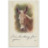 Portrait Of Donkey's Head / I'm Looking For You (Vintage Photo PC)