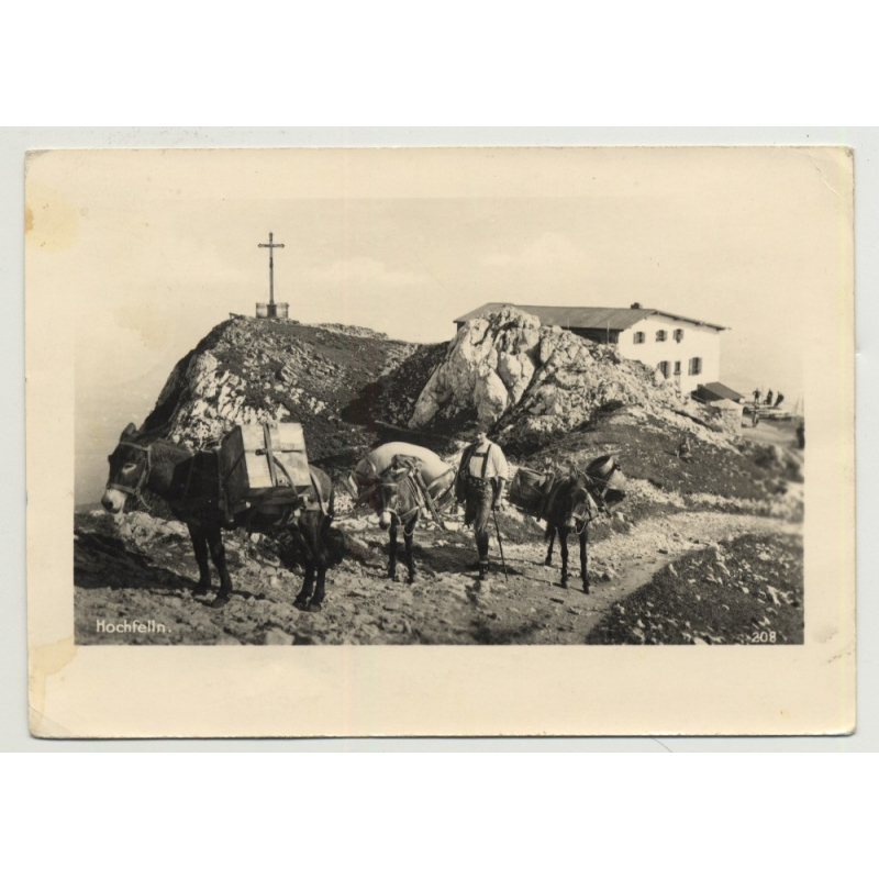 Hochfelln / Bavaria: Shepherd With Donkeys (Vintage Photo PC 1951)