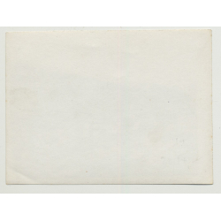 2 Camels & Donkey In Front Of Bedouin Town (Vintage Photo B/W)