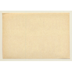 Milano / Italy: Hotel Du Nord (Vintage Luggage Label)