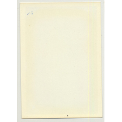 Series Of West German Fashion Photos 13: 1960s/1970s (Vintage Advertisement Photo)