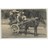 An Ekka Cart - Donkey Cart / Benares - India (Vintage Photo PC B/W)