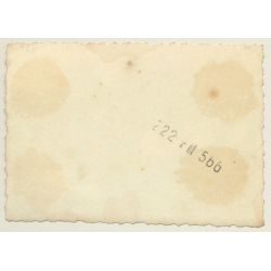 Belgium: Older Female & Milk Cans On Dray / Dairy Farmer (Vintage Photo 1930s)