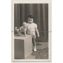 Baby Girl Embraces Her Stuffed Dog (Vintage Photo 1920s/30s)