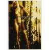 Slim Tall Nude In Transparent Negligee / Legs (Vintage Photo Germany ~1980s)