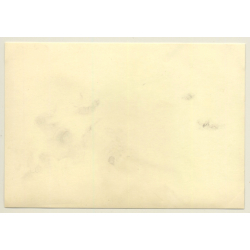 Tour De France / Circuit De Cognac 1965: Triumph TR4 IRS (Vintage Photo)