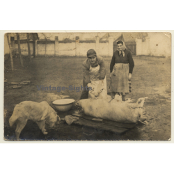 Toncic - Istria / Croatia: Butcher At Work / Pig - Profession (Vintage Photo ~1920s/1930s)