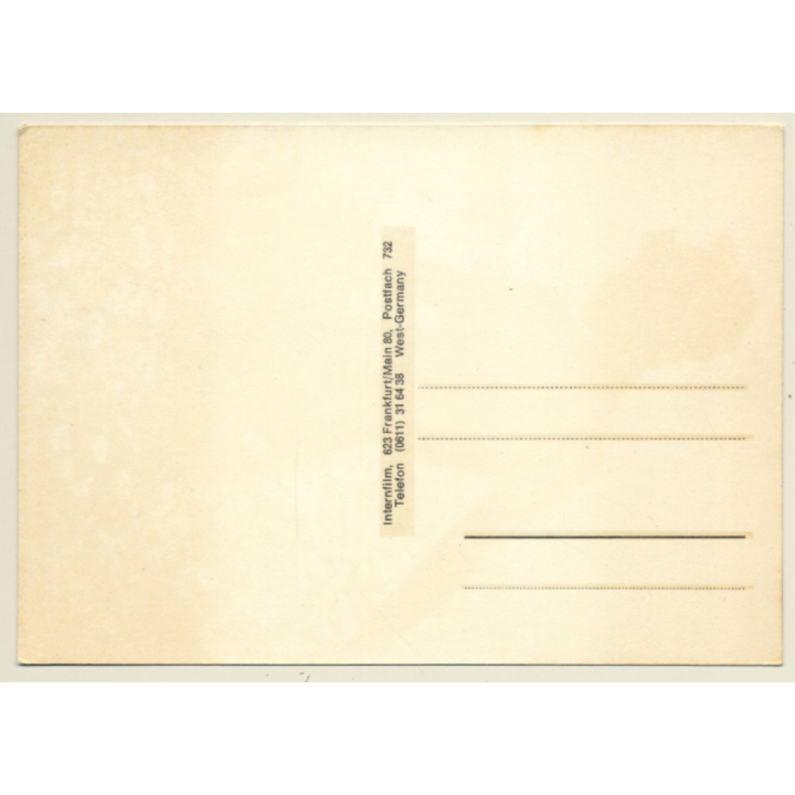 Pretty Shorthaired In Daisy Field  / Pin-Up - Risqué (Vintage PC 1960s/1970s)