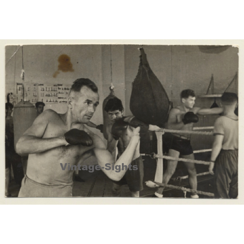 Group Of Boxers Training / Sparring - Speedball (Vintage Photo 1946) Group Of Boxers Training / Sparring - Speedball (Vintage Photo 1946)