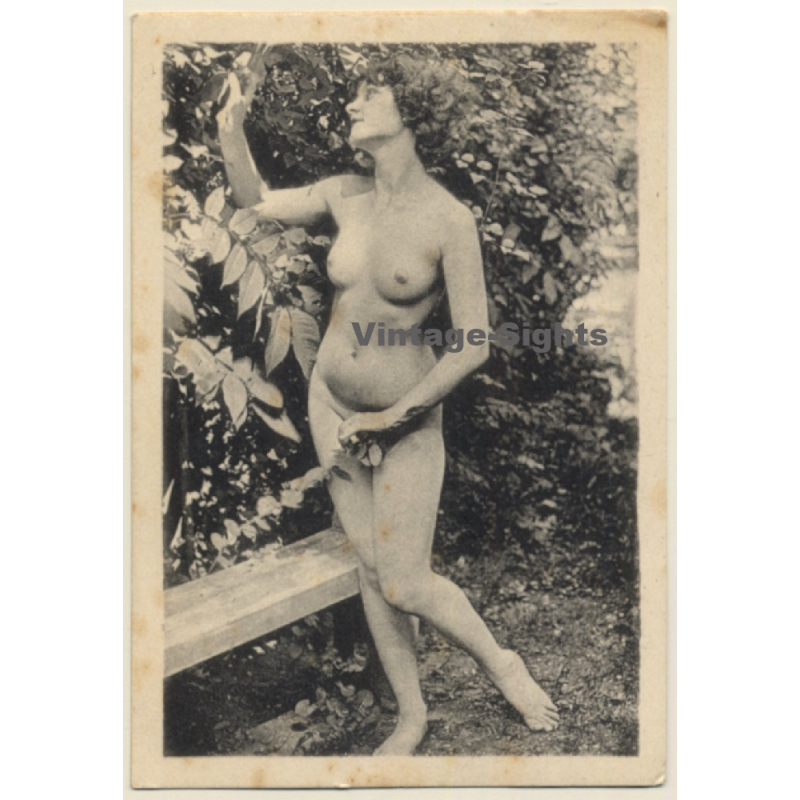 Nude Eva Looking For Apple In Garden Of Eden (Vintage Photo ~1940s)