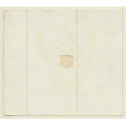 Dhahran / Saudi Arabia: Dhahran Palace Hotel Ramada (Vintage Self Adhesive Luggage Label / Sticker)