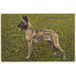 Great Dane / Deutsche Dogge (Vintage PC 1940s/1950s)