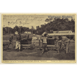 Kamerun: West Afrikanische Pflanzungs Gesellschaft Viktoria / Feldbahn (Vintage PC 1917)