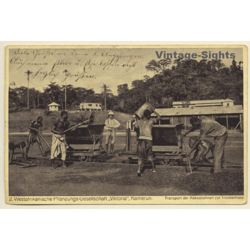 Kamerun: West Afrikanische Pflanzungs Gesellschaft Viktoria / Feldbahn (Vintage PC 1917) Kamerun: West Afrikanische Pflanzungs Gesellschaft Viktoria / Feldbahn (Vintage PC 1917)