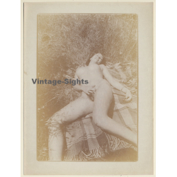 Natural Brunette Nude On Picnic Blanket*1 / (Vintage Photo Master B/W ~1970s)