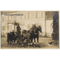 Horse Carriage With Double Team / Dog (Vintage RPPC 1925)