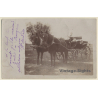 Little Boy On Horse Carriage With Double Team (Vintage RPPC ~1900s)