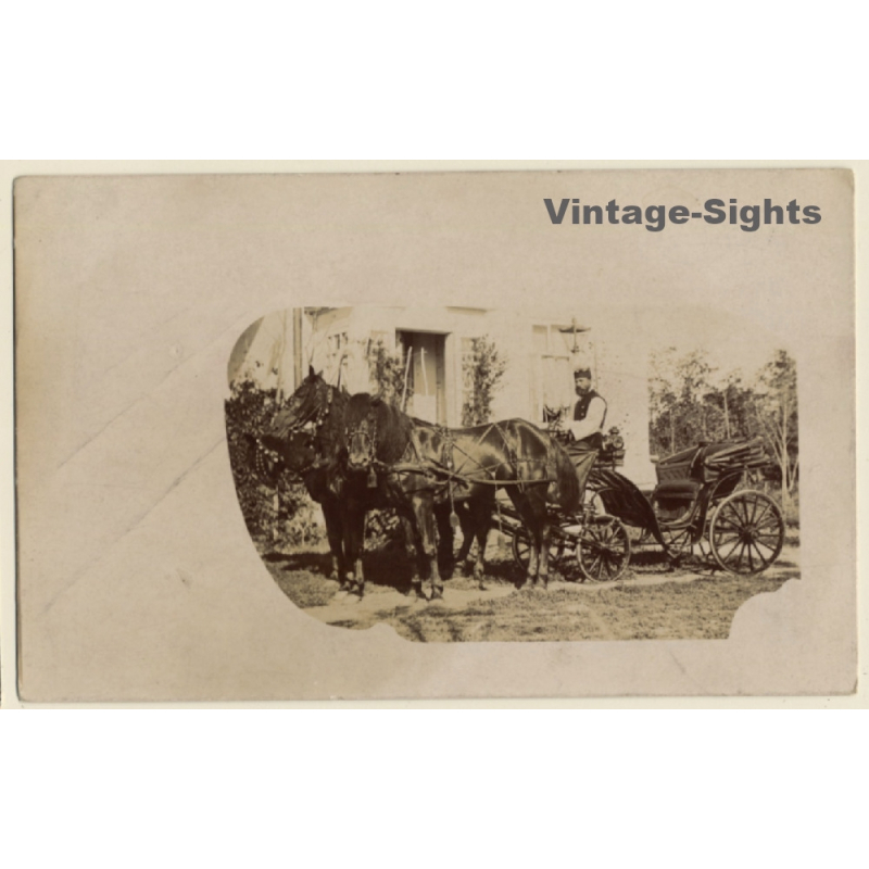Man In Traditional Garb On Horse Carriage With Double Team (Vintage RPPC ~1910s) Man In Traditional Garb On Horse Carriage With Double Team (Vintage RPPC ~1910s)