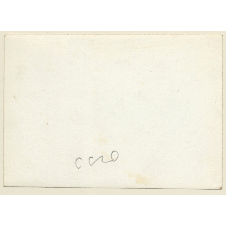 3 Little Cats Playing Outdoors / Kitten (Vintage Photo ~1930s/1940s)