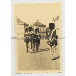 Danish Royal Guards About To Change Guard (Vintage Photo B/W ~1940s/1950s)