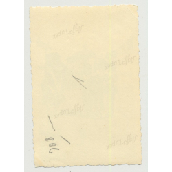 Danish Royal Guards About To Change Guard (Vintage Photo B/W ~1940s/1950s)