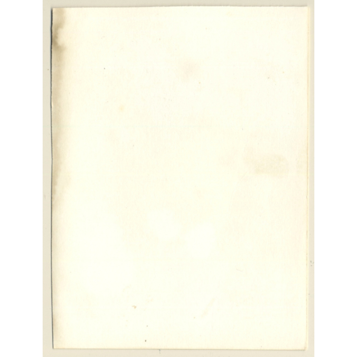 Tantilizing Topless Female Looks At Camera (Vintage Photo GDR ~1980s)