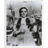 Judy Garland 'The Wizard Of Oz' (Vintage Press Photo 1970s/1980s)