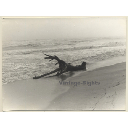 Jerri Bram (1942): Driftwood In Surf Of Beach (Vintage Photo 1960s/1970s)