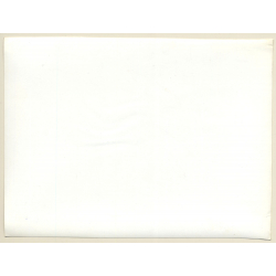 Jerri Bram (1942): Driftwood In Surf Of Beach (Vintage Photo 1960s/1970s)