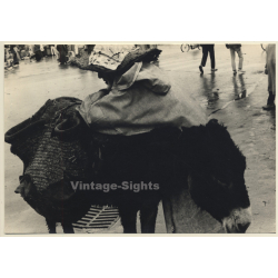 Jerri Bram (1942): Moorish Street Vendor & His Donkey (Vintage Photo 1960s/1970s)