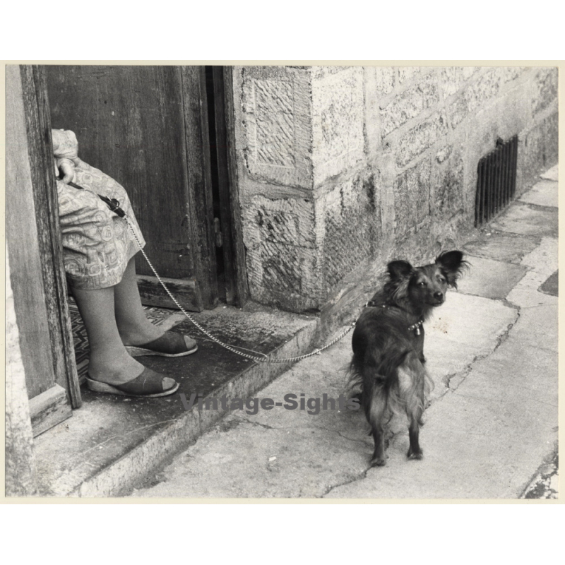 Lydia Nash: Old Woman With Little Dog On Leash (Vintage Photo 1980s) Lydia Nash: Old Woman With Little Dog On Leash (Vintage Photo 1980s)
