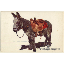 USA: Rags That's Me / Saddled Donkey / Burro (Vintage PC 1910)
