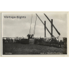 Hortobágy / Hungary: Herd Of Cattle At Scoop Well (Vintage RPPC)