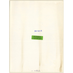 Great Portrait Of Marlene Dietrich (Vintage Press Photo 1970s/1980s)