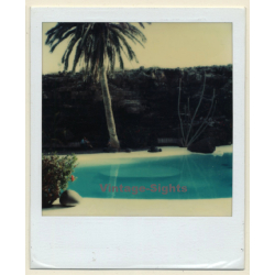 Photo Art: Palm Tree Swimming Pool Oasis (Vintage Polaroid SX-70 1980s)