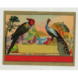 Parrot & Peacock (Vintage Chromo Litho Label ~1910/1920s)