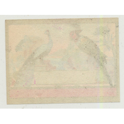 Parrot & Peacock (Vintage Chromo Litho Label ~1910/1920s)