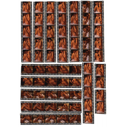 Artistic Erotic Shoot: Brunette Nude / Legs - Eyes - Boobs (107 Diapositives WOLFGANG KLEIN 1980s)